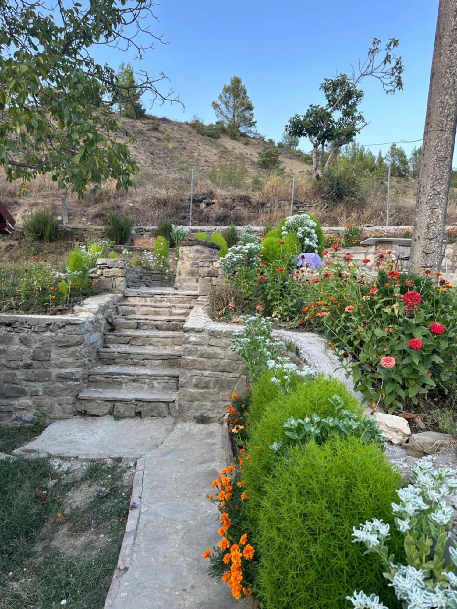Dom wakacyjny Stone House Kelcyre